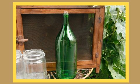 G 0611-67 Oude groene fles